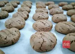 Illustration of how to make cocoa shortbread 11