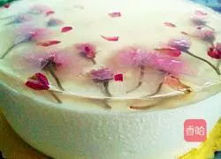 Sakura mirror cheesecake recipe 18