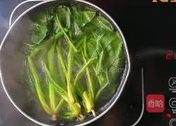 Iron supplement recipe and spinach pancake recipe 3