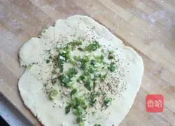 Illustration of home-style scallion pancake 3