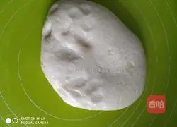 Rose Flower Cake Recipe Illustration 12