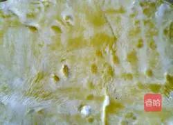 Illustration of how to make homemade pancakes 3