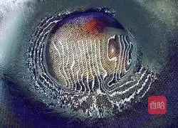 Hot noodles with chopped green onion Illustration of how to make cakes 21