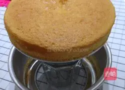Sponge cake recipe 7