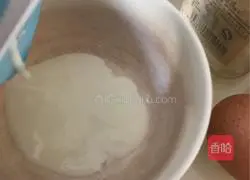 Yoghurt Pancakes? Recipe Illustration 2