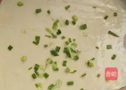 Illustration of home-style scallion pancake 8