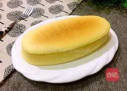 Cheesecake Recipe Illustration 18