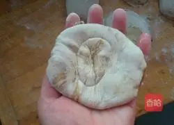 Illustration of Beef Shaobing Recipes 7