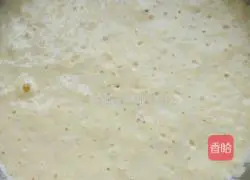 Milk Tortilla Recipe Illustration 5