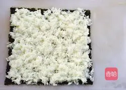 Illustration of how to make fancy sushi 2