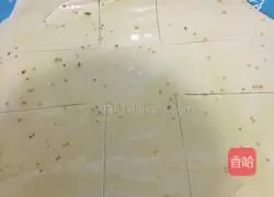 Illustration of making sauce-flavored pancake 5