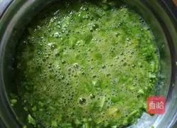 Bitter Melon Egg Pancake Recipe Illustration 3