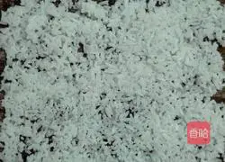 Illustration of how to make sushi 1