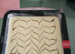 Marble light cheesecake recipe 10