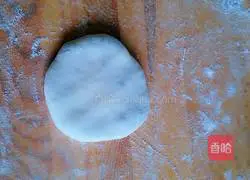 Illustration of how to make fennel pork pie 16