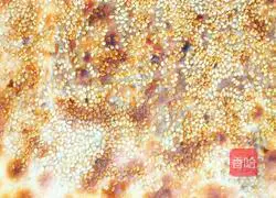 Illustration of how to make green onion thousand-layer meatloaf 16