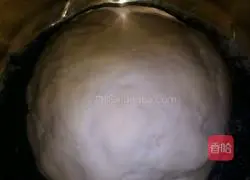 Illustration of how to make fermented curd pancakes 2