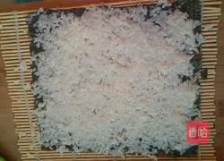 Illustration of homemade sushi 2