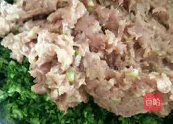 Pork and cabbage pie recipe 11