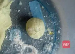 Wheatgrass fresh meat pie recipe 8