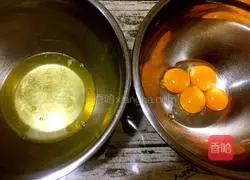 Blueberry Cake Roll Recipe Illustration 2