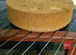 Illustration of how to make eight-inch animal cream cake 8