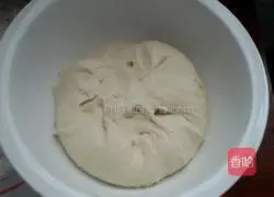  Beef and cabbage pie recipe 1