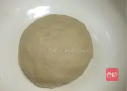 onion Illustration of how to make fried cakes 4