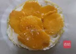 Mango Layer Cake Recipe Illustration 12