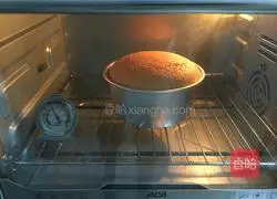 Sponge Cake Recipe Illustration 9