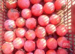 Illustration of how to make persimmon cake 1