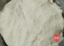 Sophora cauliflower pancake recipe 3