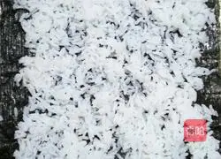 Illustration of how to make sushi 2