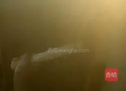 Shandong Big Shaobing Illustration of how to do it 5