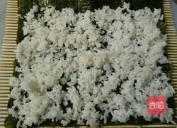 Illustration of making seaweed sushi roll 2