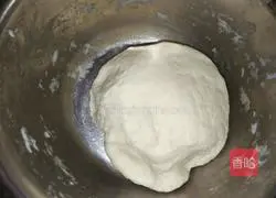 Pork and Cabbage Pie Recipe Illustration 8