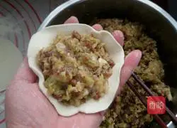 Beef and Cabbage Pie Illustration of how to do it 6