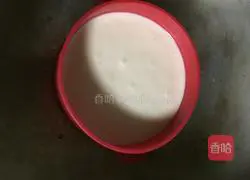 Yoghurt Sponge Cake Recipe Illustration 7