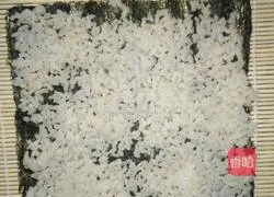 Illustration of how to make sushi 5