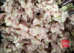 Pork and cabbage pie recipe 2