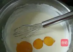 Marble Light Cheesecake Recipe Illustration 7