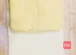 Cantonese-style Hong Kong-style durian cake, barbecued pork cake and radish cake (radish filling recipe) recipe illustration 3