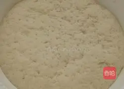 Illustration of how to make carrot, tofu and meat pancakes 4