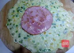 Leek, egg, ham and burrito Practice illustration 9