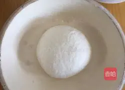 Sophora flower meat pie recipe 1