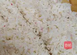 Vegetarian Illustration of how to make dumpling stuffing 4