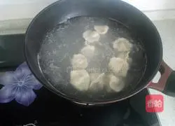 Dumplings Recipe 12