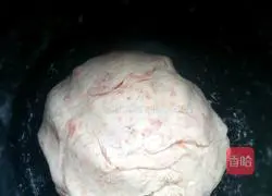 Illustration of how to make small wontons 1