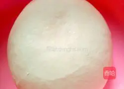 Exclusive vegetarian dumplings recipe 1