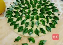 Illustration of how to make jade dumplings 5